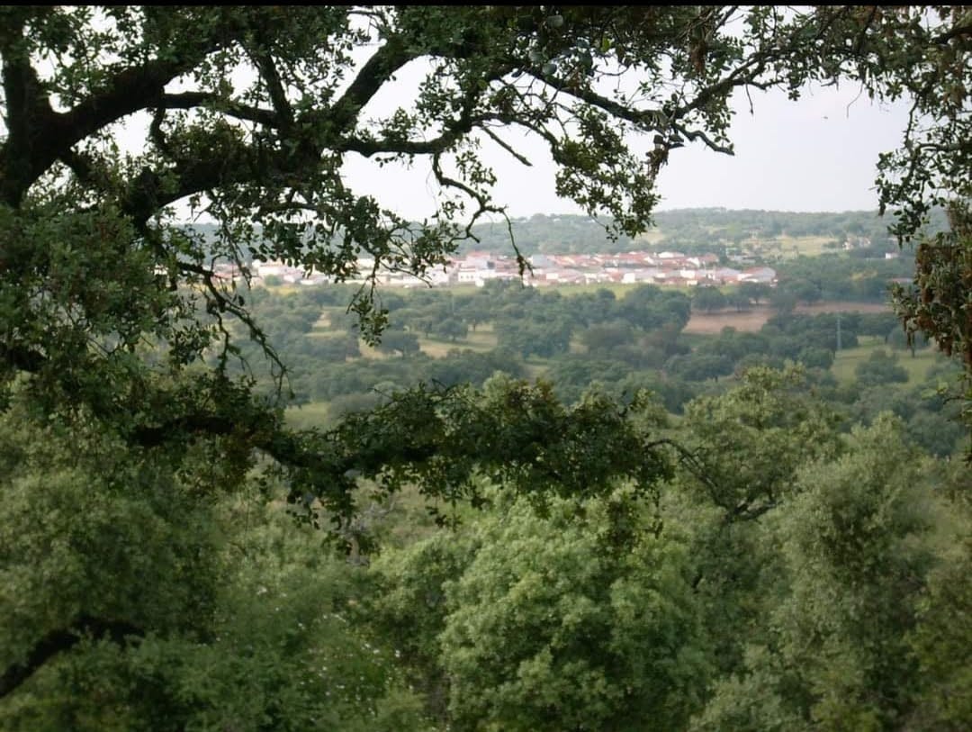 paisajes1